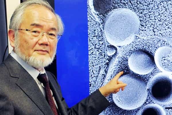 நோபல்பரிசு பெற்ற Yoshinori Ohsumi கண்டுபிடித்த முறை கேன்சரை குணப்படுத்துமா ?