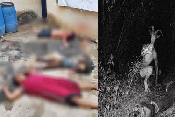 விசித்திரமான விலங்கால் குடும்பமே பலியா ?
