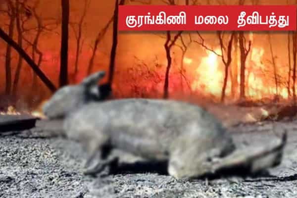 நாம் தமிழர் கட்சி தேர்தல் அறிக்கையில் தவறான படம் இணைப்பு!