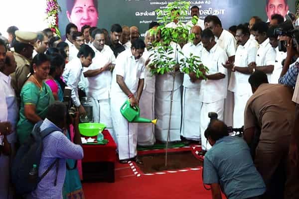 ரூ.198 கோடியில் 1 லட்சம் மரங்களை நட தமிழக அரசு திட்டமா ?| செய்தி பிழை !