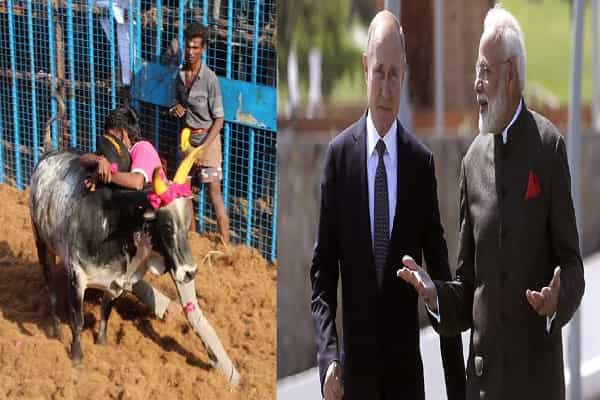 அலங்காநல்லூர் ஜல்லிக்கட்டை காண ரஷ்ய அதிபர் புதின் வருகையா ?