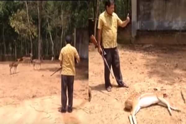 பாஜக எம்.எல்.ஏ மானை வேட்டையாடுவதாக வைரலாகும் வீடியோ உண்மையா ?