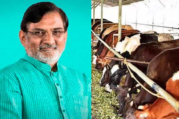 லட்சத்தீவில் உள்ளூர் பால் பண்ணைகள் மூடல்.. அமுல் நிறுவன கிளையை திறக்க அனுமதி !