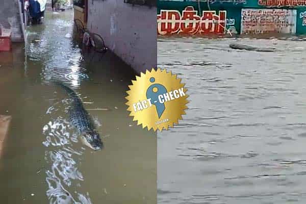 கூடுவாஞ்சேரி மழை நீரில் முதலை எனப் பரவும் தவறான வீடியோ மற்றும் புகைப்படம் !