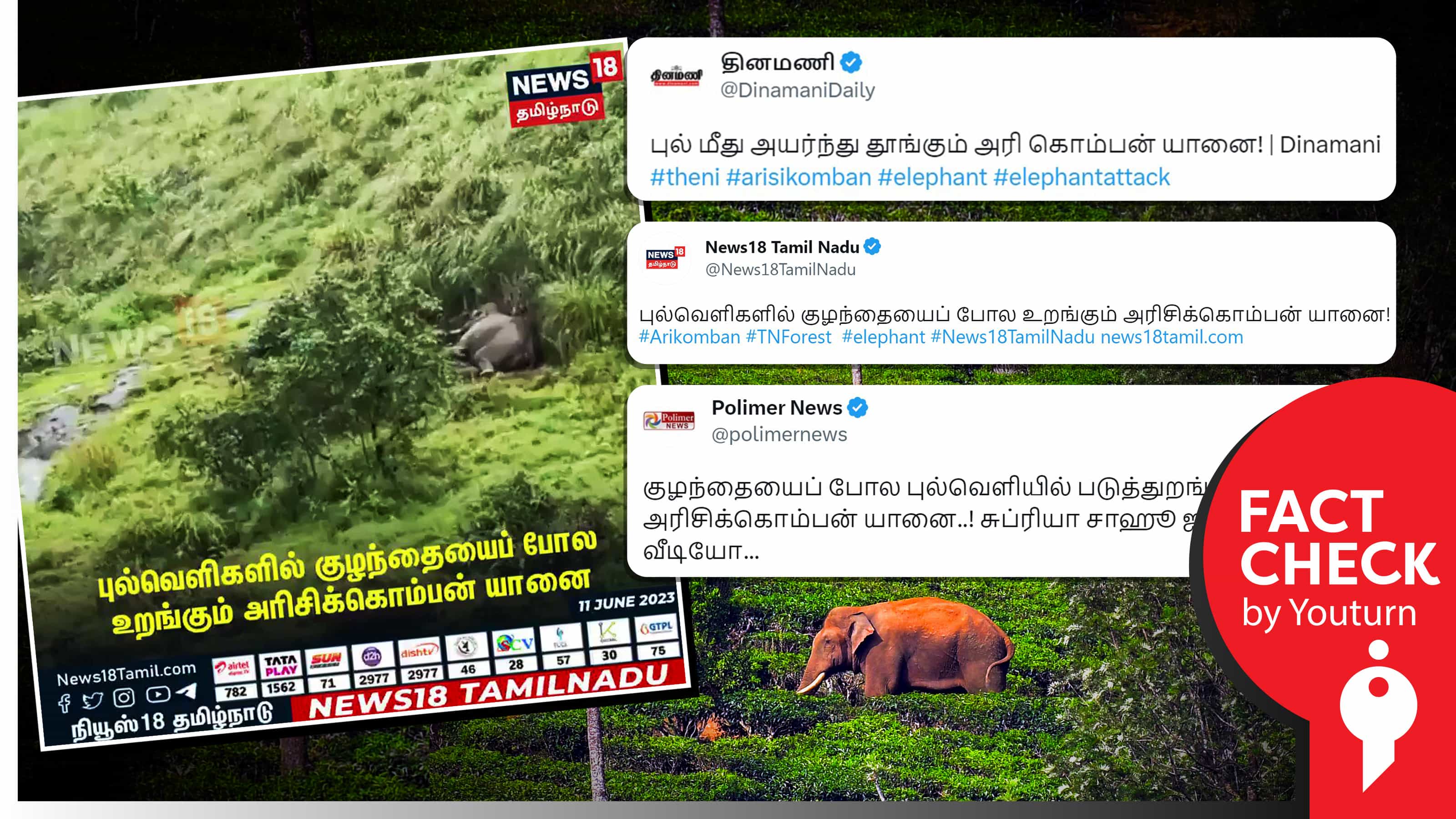 தமிழ்நாட்டில் குழந்தையைப் போல உறங்கும் அரிசிக்கொம்பன் யானை எனப் பரவும் பழைய வீடியோ!