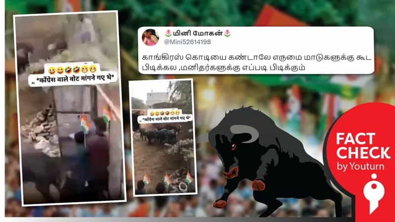 காங்கிரஸ் கொடியுடன் சென்றவர்களை எருமை மாடு முட்டியதாகப் பரவும் எடிட் செய்யப்பட்ட வீடியோ!