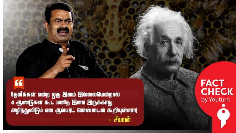 “தேனீக்கள் இனம் இல்லையென்றால் மனித இனமே இருக்காது” என ஐன்ஸ்டைன் கூறினாரா ?