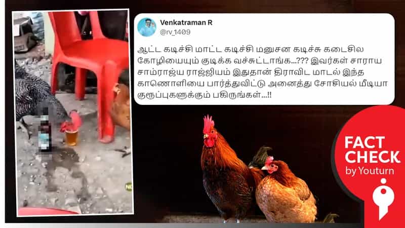 தமிழ்நாட்டில் கோழிகள் கூட மது அருந்துவதாக தவறாகப் பரவும் கொலம்பியா வீடியோ