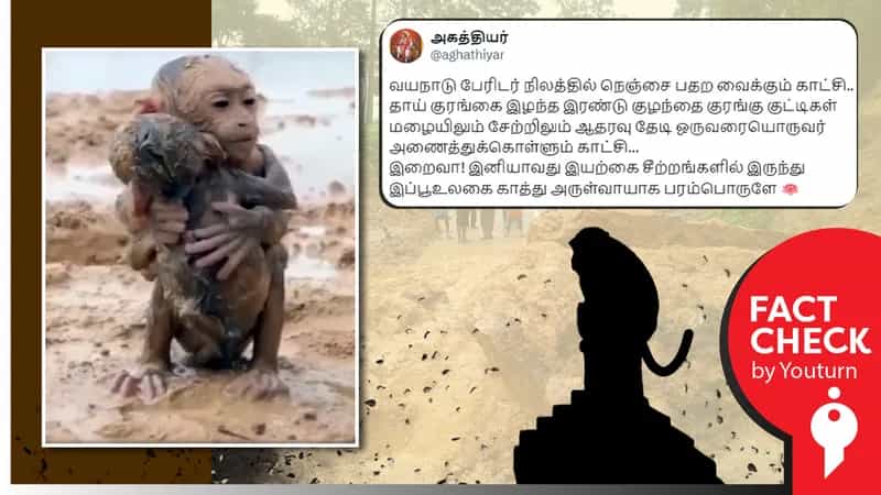 வயநாடு நிலச்சரிவின் போது தாயை இழந்த இரண்டு குரங்கு குட்டிகளின் நிலை எனப் பரவும் பழைய வீடியோ!
