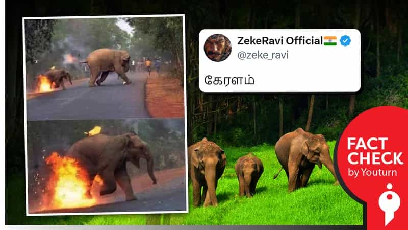 கேரளாவில் யானையின் உடம்பில் தீ வைக்கப்பட்டது என்று பரவும் மேற்குவங்க புகைப்படம்!