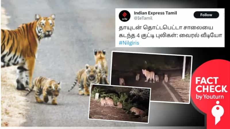 தொட்டபெட்டா சாலையில் சிறுத்தைகள் உலா வருவதாக பரவும் இமாச்சல பிரதேச வீடியோ!