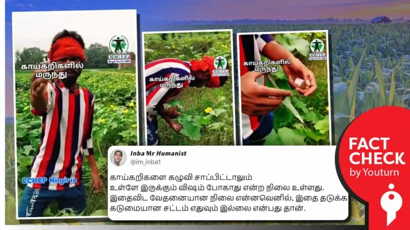 காய்கறிகளில் ஊசி மூலம் மருந்து ஏற்றப்படுவதாக பரப்பப்படும் வீடியோ! உண்மை என்ன?