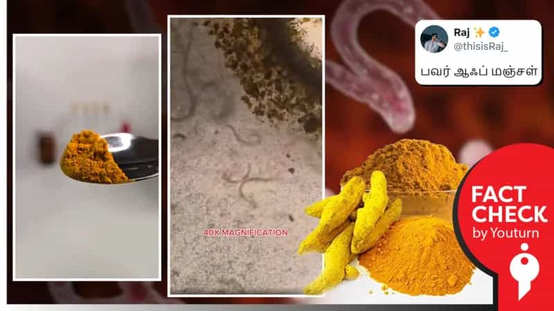 Turmeric vs Human parasites - என பரவும் காணொளி! உண்மை என்ன?