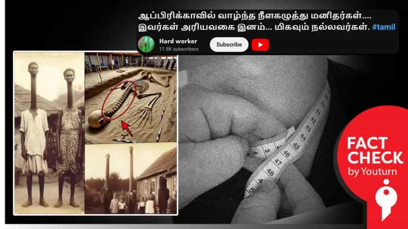 நீண்ட கழுத்துடைய அரியவகை மனிதர்கள் ஆப்பிரிக்காவில் வாழ்ந்தனரா?