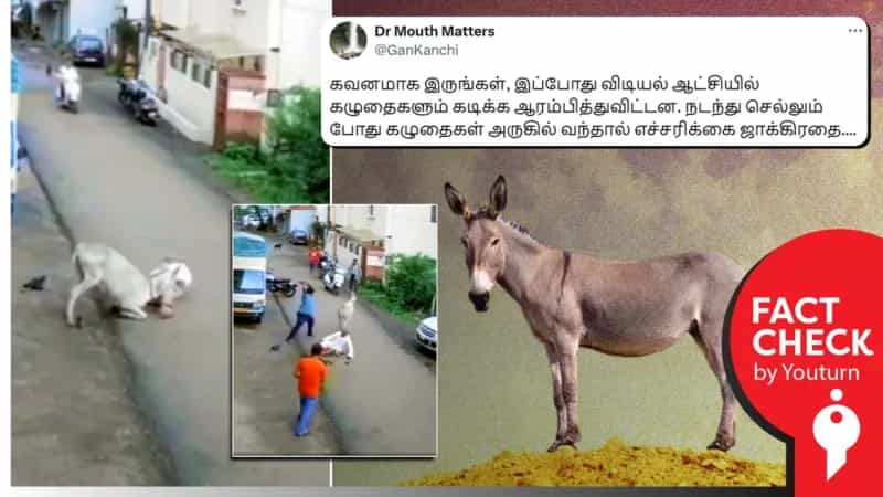 தமிழ்நாட்டில் முதியவரைக் கழுதை கடித்ததாகப் பரவும் மகாராஷ்டிராவில் நடந்த சம்பவம்!