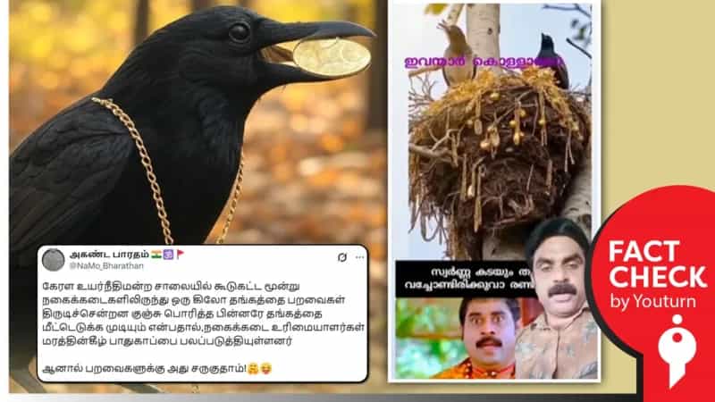 நகைக்கடைகளில் திருடிய தங்கத்தால் கூடு கட்டிய பறவைகள் எனப் பரவும் AI வீடியோ!