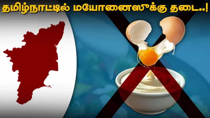 அதிக ஆபத்து நிறைந்ததா மயோனைஸ்? தமிழ்நாட்டில் ஓராண்டுக்கு தடை ஏன்?