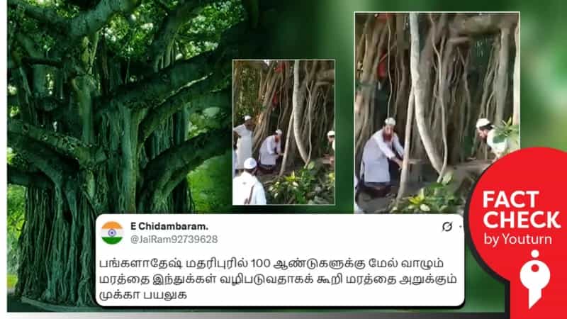 இந்துகள் வழிப்பட்டதற்காக ஆலமரம் அறுக்கப்பட்டதாக பரவும் வீடியோ! உண்மை என்ன?