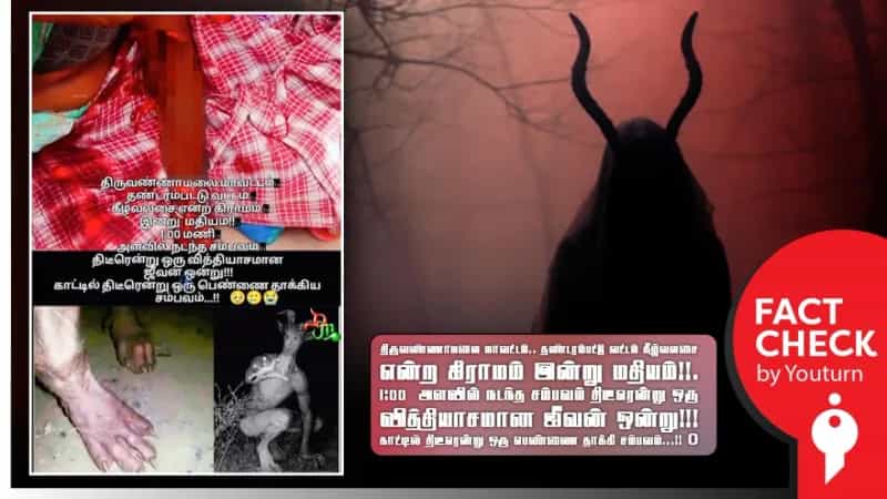திருவண்ணாமலையில் தென்பட்ட வேற்றுகிரகவாசி எனப் பரவும் வதந்தி!