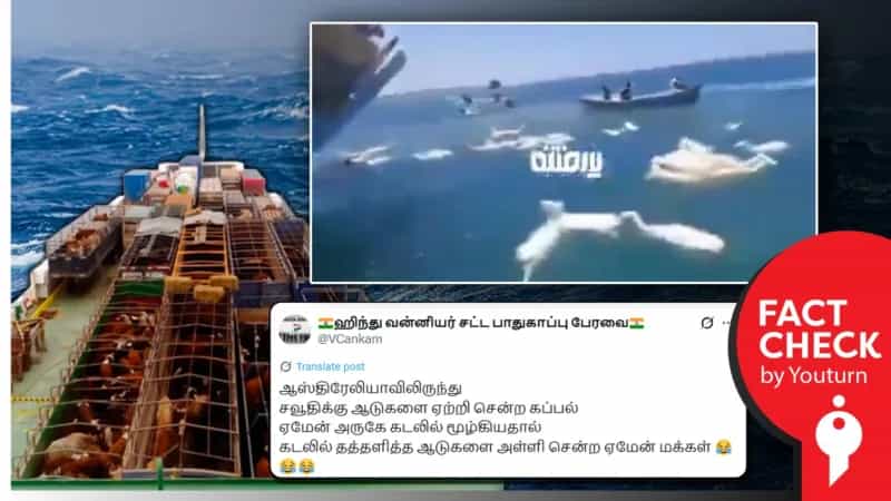 கப்பல் கவிழ்ந்ததால் கடலில் தத்தளித்த ஆடுகளை ஏமன் மக்கள் எடுத்துச் சென்றதாக பரப்பப்படும் வீடியோ! உண்மை என்ன? 