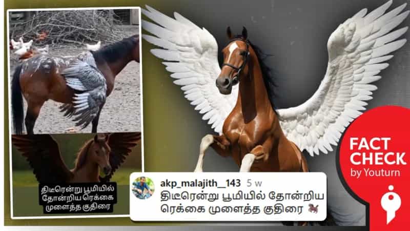 ‘பூமியில் தோன்றிய இறக்கை முளைத்த குதிரை’ என்று பரவும் AI வீடியோ!