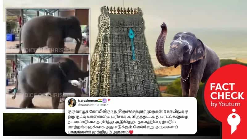 குருவாயூர் கோயிலில் இருந்து, திருச்செந்தூர் கோயிலுக்கு குட்டி யானை பரிசாக வழங்கப்பட்டதா? உண்மை என்ன? 