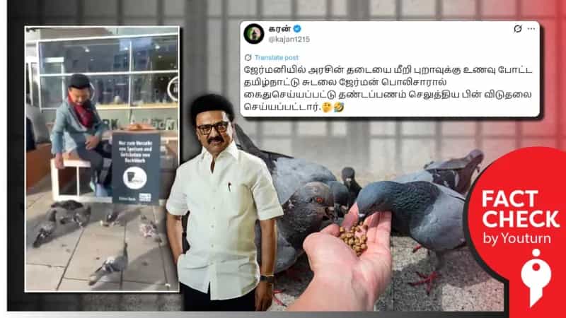 ஜெர்மனியில் புறாவுக்கு முதல்வர் ஸ்டாலின் உணவளித்தது குறித்து பரவும் செய்தி.. உண்மை என்ன?