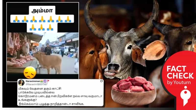 மாட்டிறைச்சி கடையில் இருந்த பசுமாட்டை வேதனையுடன் பார்த்த மற்றொரு பசுமாடு என்று பரவும் ஏஐ வீடியோ!