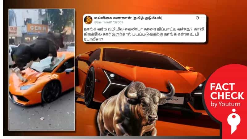 காரை மாடுகள் உடைப்பது போன்று பரவும் AI வீடியோ!