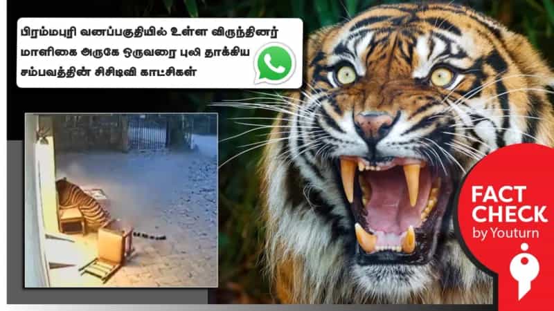 'பிரம்மபுரி வனப்பகுதியில் புலி தாக்கிய காட்சி' எனப் பரவும் AI வீடியோ!