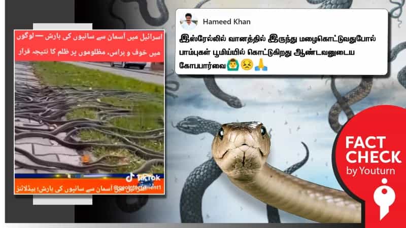 இஸ்ரேலில் பாம்பு மழை என்று பரவும் AI வீடியோ! உண்மை என்ன? 
