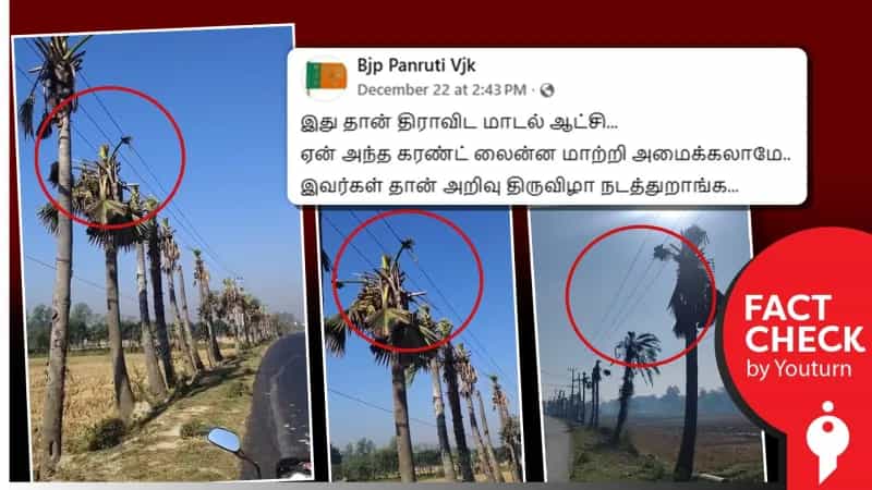 மின் கம்பிகளுக்காக பனை மரக் கிளைகளை வெட்டிய திமுக அரசு என்று பரவும் வீடியோ! உண்மை என்ன? 