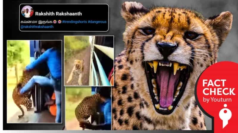 சிறுத்தை ஒன்று ரயில் பயணிகளை தாக்கியதாகப் பரவும் AI வீடியோ!