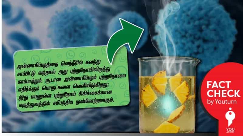 அன்னாச்சி பழம் புற்றுநோயை குணப்படுத்தும் என்று பரப்பப்படும் வதந்தி!
