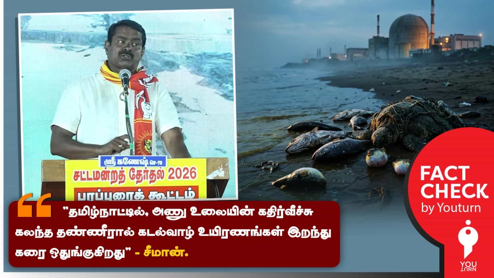 தமிழ்நாட்டில் அணுக் கதிர்வீச்சால் கடல்வாழ் உயிரினங்கள் இறந்து கரை ஒதுங்கியதா? சீமான் சொல்லும் பொய்! 