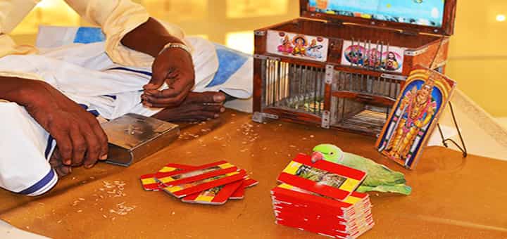 மருத்துவமனைகளில் நோய்களை குணப்படுத்த ஜோதிடர்களா ?