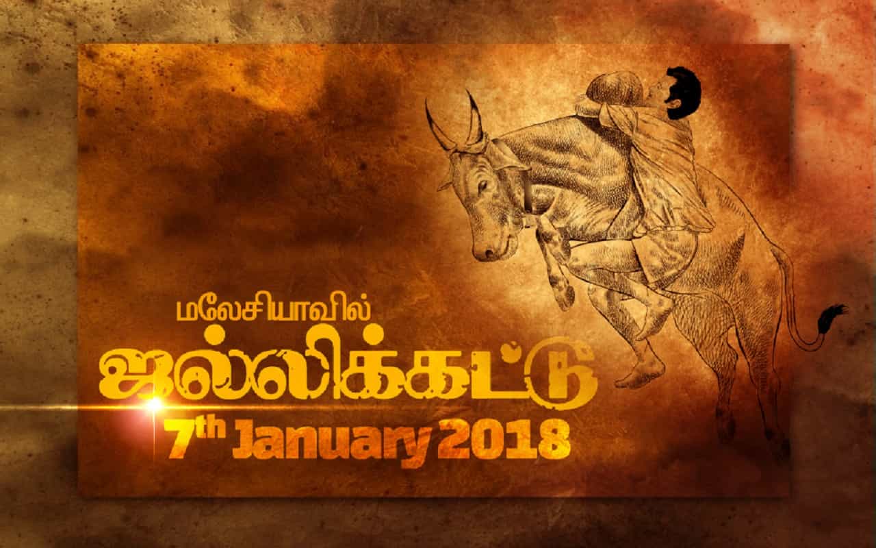 மலேசியாவில் பாரம்பரிய ஜல்லிக்கட்டு போட்டி.