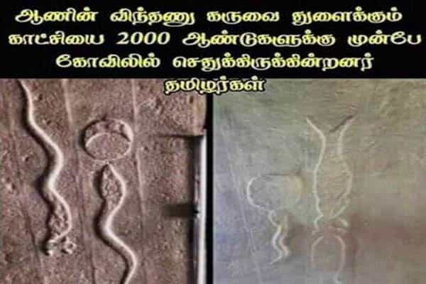விந்தணு கருவை துளைக்கும் சிற்பம்: தமிழர்கள் செதுக்கியதா ?