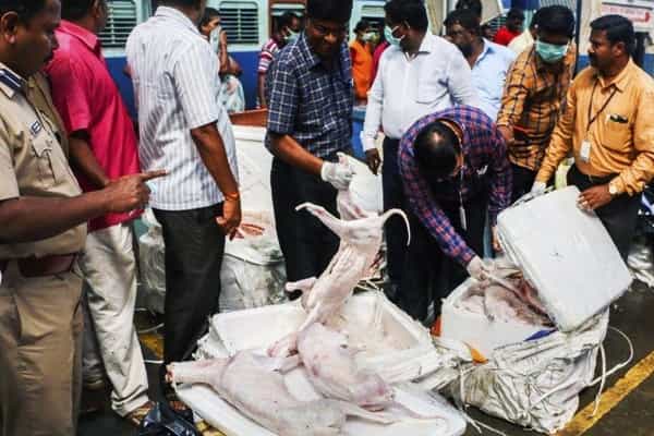 சென்னைக்கு வந்தது நாய்க்கறியா ?