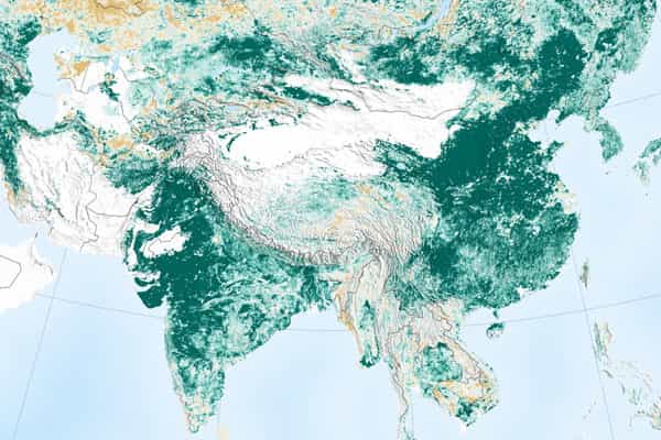 உலகம் பசுமையாவதில் முக்கிய பங்கு வகிக்கும் இந்தியா மற்றும் சீனா.