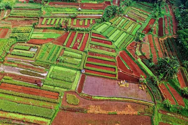 20 ஆண்டுகளில் கர்நாடகாவில் விவசாய நிலங்கள் அதிகரிப்பா ?