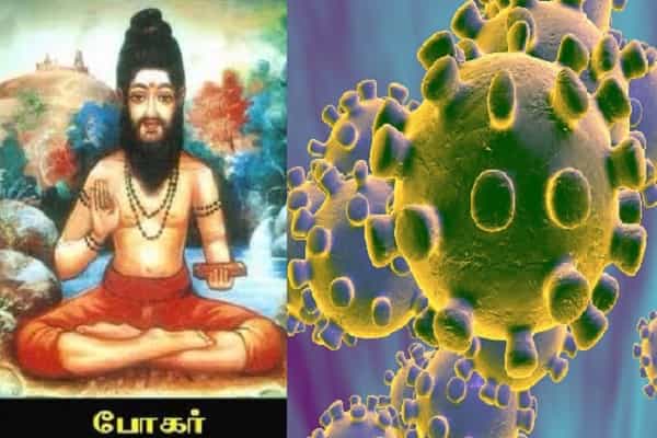 கொரோனா வைரஸ் தொடர்பாக சித்தர்கள் எழுதிய பாடல்களா ?| உண்மை அறிக.