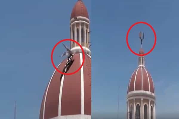 இத்தாலியில் உள்ள தேவாலயத்தில் விநோதப் பறவை தென்பட்டதா ?