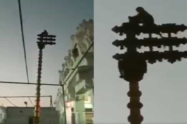 அயோத்தி ராமர் கோவிலில் குரங்கு தினமும் மணி அடிக்கும் வீடியோவா ?