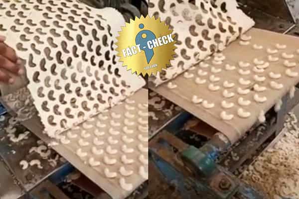 இது செயற்கையாக உருவாக்கப்படும் முந்திரிப் பருப்பு அல்ல| உண்மை என்ன ?