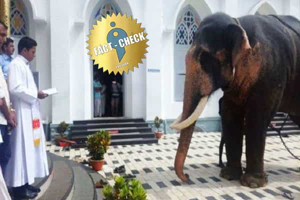 யானைகளை மதம் மாற்றி வேளாங்கண்ணி சர்ச்சில் சேர்த்ததாக வதந்தி !