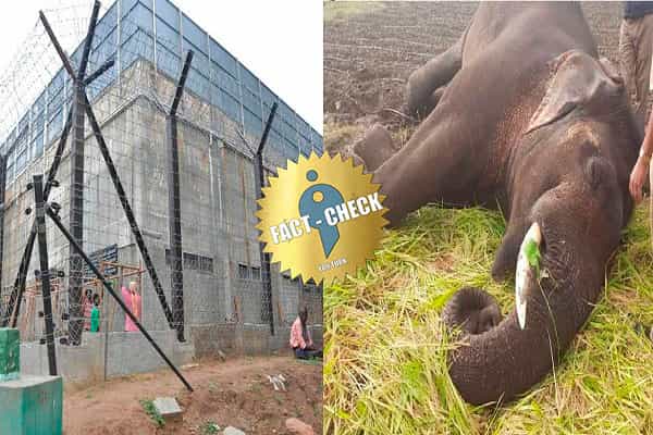 ஈஷா மையத்தின் மின்வேலியில் சிக்கி யானை உயிரிழந்ததா ?| ஈஷா மீது எழும் வேறொரு குற்றச்சாட்டு!