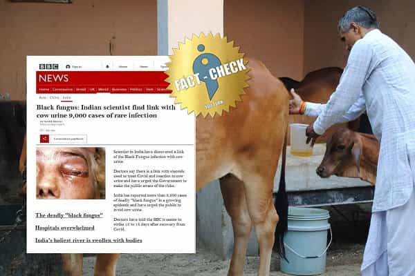 கோமியம் குடிப்பதால் கருப்பு பூஞ்சை வருவதாக பிபிசி செய்தி வெளியிட்டதா ?