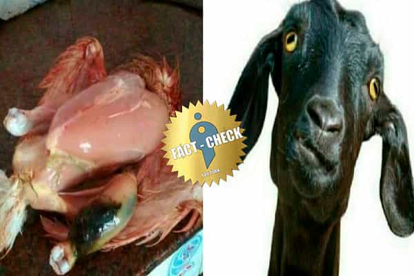 கோழி, ஆட்டு இறைச்சி மூலம் கருப்பு பூஞ்சை பரவுவதாக விஷமப் பதிவு !