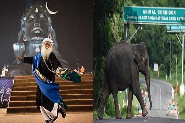 ஈஷா பகுதி யானைகள் வழித்தடமாக அறிவிக்கப்படாததே குழப்பத்திற்கு காரணம் - சுற்றுச்சூழல் ஆர்வலர்கள் !